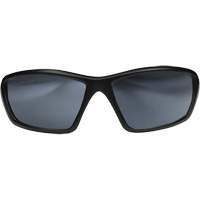 Lunettes de s&eacute;curit&eacute; Robson avec joint, Lentille Miroir argent&eacute;, Anti-&eacute;gratignures/Polaris&eacute;, ANSI Z87+/MCEPS GL-PD 10-12/R&eacute;pond ou surpasse la norme CSA Z94.3 Equipex