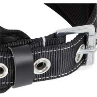 WB-6010-S Safety Restraint 1 D-Ring Belt with Padded Lumbar Support - Small Equipex