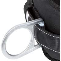 WB-6020-S Safety Positioning 2 Side D-Rings Belt with Padded Lumbar Support - Small Equipex