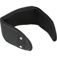 WB-6006 Padded Lumbar Support for Belt - Universal Equipex