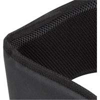 WB-6006 Padded Lumbar Support for Belt - Universal Equipex