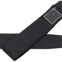 CAS4-4 Ancrage en boucle 4" avec anneau en D, Chaîne, Usage Temporaire Equipex