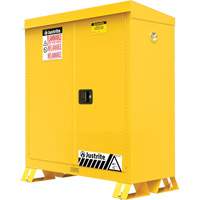Armoire ext&eacute;rieure pour produits inflammables, 30 gal., 2 Porte(s), 43" La x 44" h x 18" p Equipex
