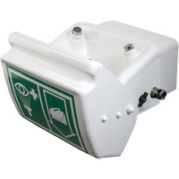 Douche oculaire/faciale, Installation Montage mural, Bol Plastique Equipex