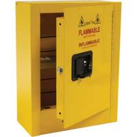 Armoire de s&eacute;curit&eacute; miniature pour produits inflammables, 2 gal., 1 Porte(s), 17" La x 22" h x 8" p Equipex