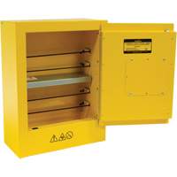 Armoire de s&eacute;curit&eacute; miniature pour produits inflammables, 2 gal., 1 Porte(s), 17" La x 22" h x 8" p Equipex