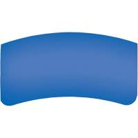 Lentille ext&eacute;rieure Bullard GenVX PETG Equipex