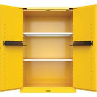 Armoire de s&eacute;curit&eacute; pour produits inflammables Utili-Guard+, 45 gal., 2 Porte(s), 43" La x 65" h x 22" p Equipex