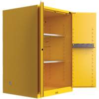 Armoire de s&eacute;curit&eacute; pour produits inflammables Utili-Guard+, 45 gal., 2 Porte(s), 43" La x 65" h x 22" p Equipex