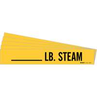 "LB. Steam" Pipe Markers, Self-Adhesive, 2-1/4" H x 2-3/4" W, Black on Yellow Equipex