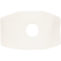 North&reg; Replacement Filter, Particulate Filter, N99 Filter Equipex