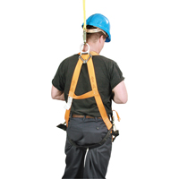 Miller&reg; Titan Contractor's Harnesses, CSA Certified, Class AP, 400 lbs. Cap. Equipex