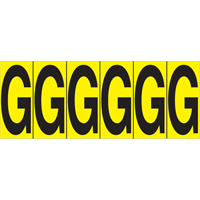 Rep&egrave;res adh&eacute;sifs &agrave; lettres individuelles, G, 2-15/16" h, Noir sur jaune Equipex