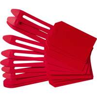 &eacute;tiquettes de cadenassage vierges en plastique, Plastique, 3-1/4" la x 5-4/5" h, Vierge Equipex