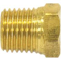 Bouchon de tuyau (t&ecirc;te hexagonale), 1/4" dia., Laiton Equipex