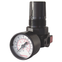 Mini r&eacute;gulateurs, 1/4" NPT, PSI max. de 165 PSI, Modulaire Equipex