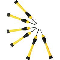 Precision Screwdriver Set, 6 Pcs. Equipex