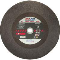 Cut-Off Saw (A24R), 12" x 1/8", 1" Arbor, Type 1, Aluminum Oxide, 5100 RPM Equipex