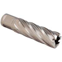 Annular Cutters