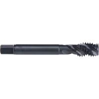 45° Spiral Flute Tap, High Speed Cobalt, 7/8"-9 Thread, 4-11/16" L Equipex