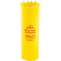 Scie &agrave; cloche bim&eacute;tal 13/16", 13/16", Profondeur de la coupe 2", Bim&eacute;tal Equipex