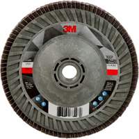 769F Quick Change Flap Disc, 5" x 5/8"-11, Type 29, 120+ Grit, Ceramic Equipex