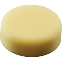 Polishing Pad, 3" Dia. Equipex