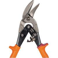 Cisaille d&eacute;sax&eacute;e &agrave; pivots multiples Equipex