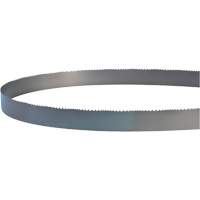Welded Bandsaw Blade, Bi-Metal, 14' L x 1" W x 4 - 6 TPI Equipex