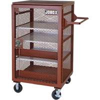 Armoire mobile en treillis, Acier, 22 pi³, Rouge Equipex