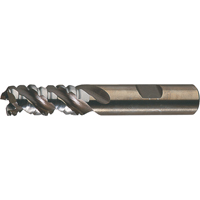 PM Plus Single End Roughers, Powder Metal, 3-Flute, Centre Cutting, Square End, 3/4" Dia. Equipex