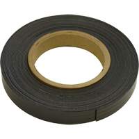 Magnetic Strips, 100' L x 1" W, 1/16" Thickness, Strength of 6 lbs. per Lin. Ft. Equipex