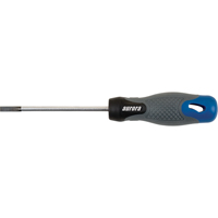 Slot Electrician's Screwdriver, 3/16" Tip, Round Equipex