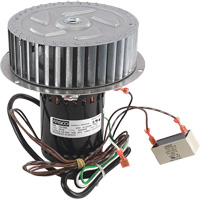 Reznor&reg; Ventor Motor and Wheel Assembly Equipex