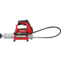 Pistolet graisseur sans fil M12 (outil seulement), Lithium-ion, 12 V Equipex
