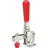 Vertical Hold-Down Clamps - 207 Series Equipex