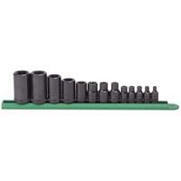 External Torx&reg; Socket Set, 1/2"/1/4"/3/8" Drive Equipex