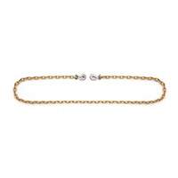 Binder Chain with Clevis Grab Hooks Equipex