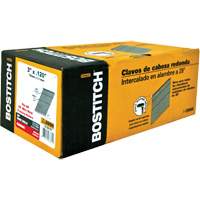 Clous &agrave; charpente en bande Equipex