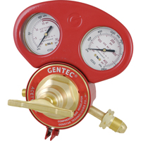 153 Series - Gauge Protectors Equipex