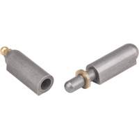 Charni&egrave;re &agrave; souder, 0,512" dia. x 3,15" lo, Acier doux a/goupille fixe en acier Equipex