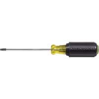 Tournevis Klein a/manche caoutchout&eacute;-Tournevis Torx &agrave; tige ronde Equipex