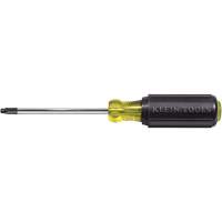 Tournevis Klein a/manche caoutchout&eacute;-Tournevis Torx &agrave; tige ronde Equipex