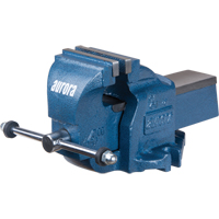 &eacute;tau d'&eacute;tabli robuste, Largeur des m&acirc;choires 4", Profondeur de la gorge 2-7/10" Equipex