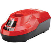 M4 Charger, 4 V, Lithium-Ion Equipex