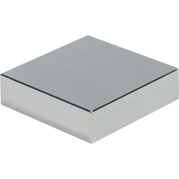Max-Attach Rare Earth Magnets Equipex