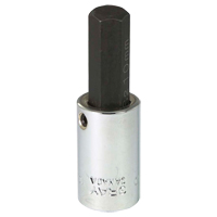 Bit Socket, 10 mm x 2-1/5" L, 3/8" Drive Equipex