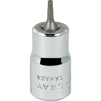 Bit Socket, Torx&reg;, T8 x 2-1/8" L, 3/8" Drive Equipex