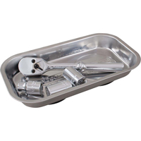 Rectangular Magnetic Tray, 11" L x 6" W Equipex