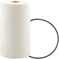 P7247 Spin-On Coolant Filter with BTE Formula Equipex